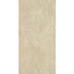 Керамический гранит Скайлайн Аш (610010001327) 60*120