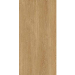 Albero beige (РТ12F7041) 120x60 (1,44м2/47,52м2) керамический гранит 