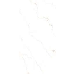 Керамогранит GS DOMINO SATVARIO (GOLDEN GLOSSY CARVING) 60 х 120 (1,44м2 / 43,2м2)