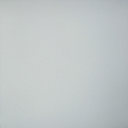 Керамогранит Профи св-серый (GT009М) 600*600*10