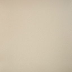 Керамогранит Профи бежевый (GT100М) 600*600*10