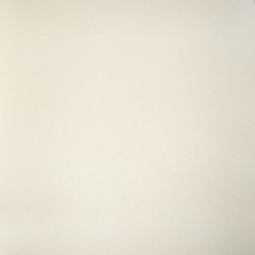 Керамический гранит Моноколор молочный (GT202М) 600 * 600 * 10