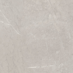 EBRI Gris ( ) 60*60 (1,44м2/46,08м2) керамический гранит