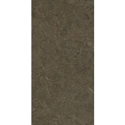 Neapol brown (РТ12F7039) 120x60 (1,44м2/47,52м2) керамический гранит 