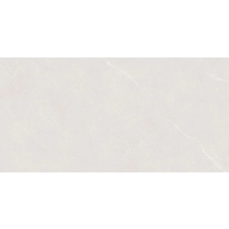 Alicante light grey (РТ12F7046) 120x60 (1,44м2/47,52м2) керамический гранит 