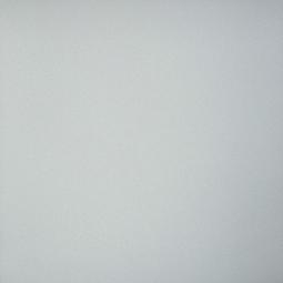 Керамогранит Профи св-серый (GT009М) 600*600*10  