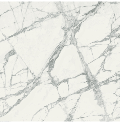 Керамический гранит Шарм Делюкс Дел. Инвиз. Уайт (610010001916) 80*80 тон АD4 кал 8  