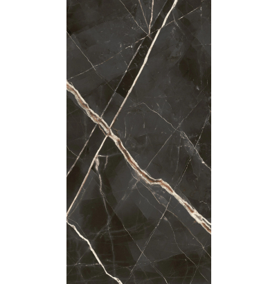 Керамогранит Стелларис Абсолют Блэк (610010002837) 60*120   тон АВ5 кал 6  